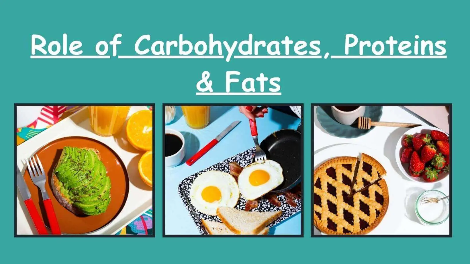 Role of Carbohydrates, Proteins & Fats