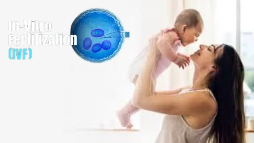A Guide to Understanding Women’s Reproductive Health