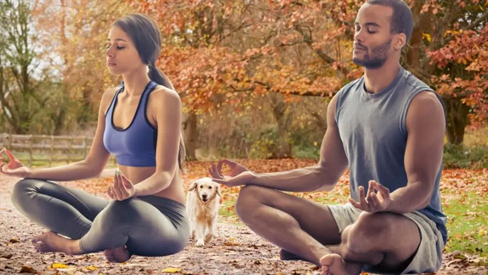 Explore 5 Mindfulness Meditation Practices: Journey to Inner Peace