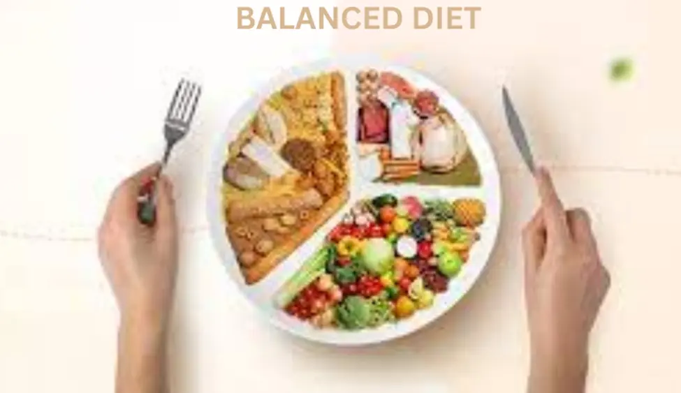 The Role of a Balanced Diet in Fitness: Things You Should Know