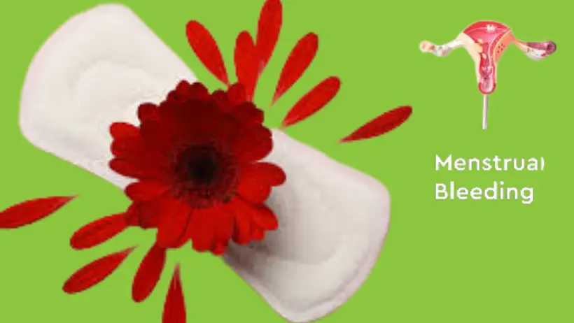 The Ultimate Guide to Period Health: What Every Woman Should Know
