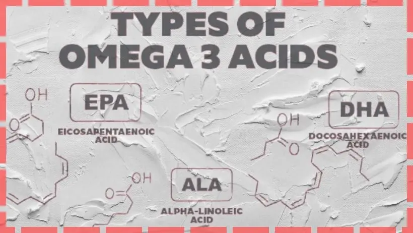 Uncover the Significance of Omega-3: The Necessity of Incorporating It into Your Diet