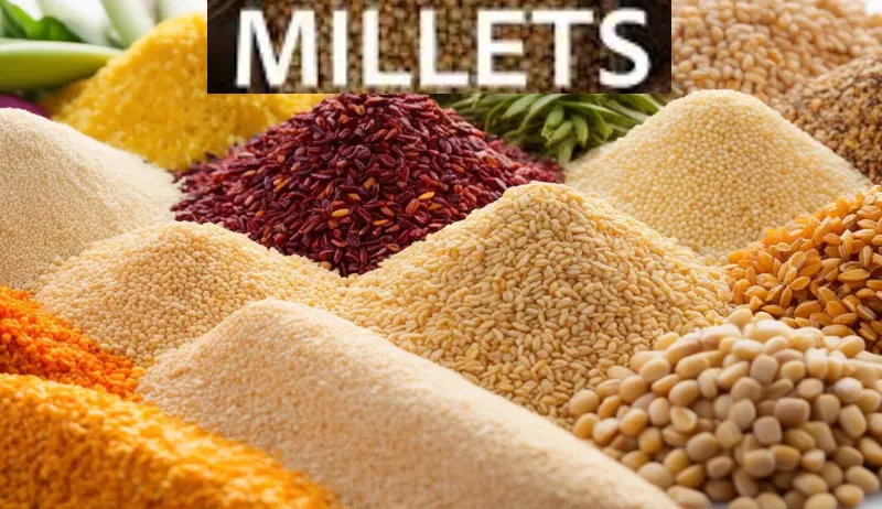 Unlocking the Power of Millet: Essential Health and Fitness Benefits