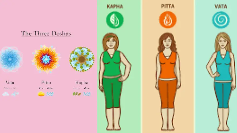 Unlocking the Power of Ayurveda in Your Fitness Journey: What You Need to Know