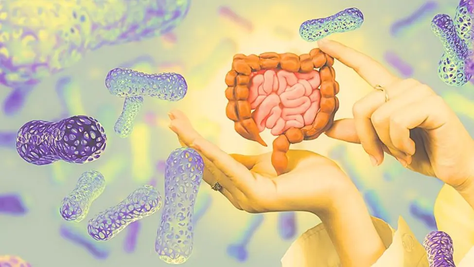 Unveiling the Mysteries of Gut Health: How It Can Change Your Life 