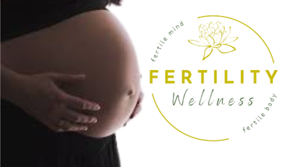 Fertility and Wellness: A Wholesome Perspective 
