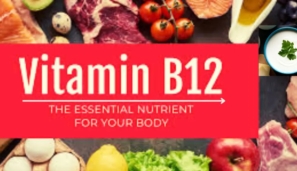 Top 5 Foods Rich in Vitamin B12: Boost Your Health and Fitness Naturally